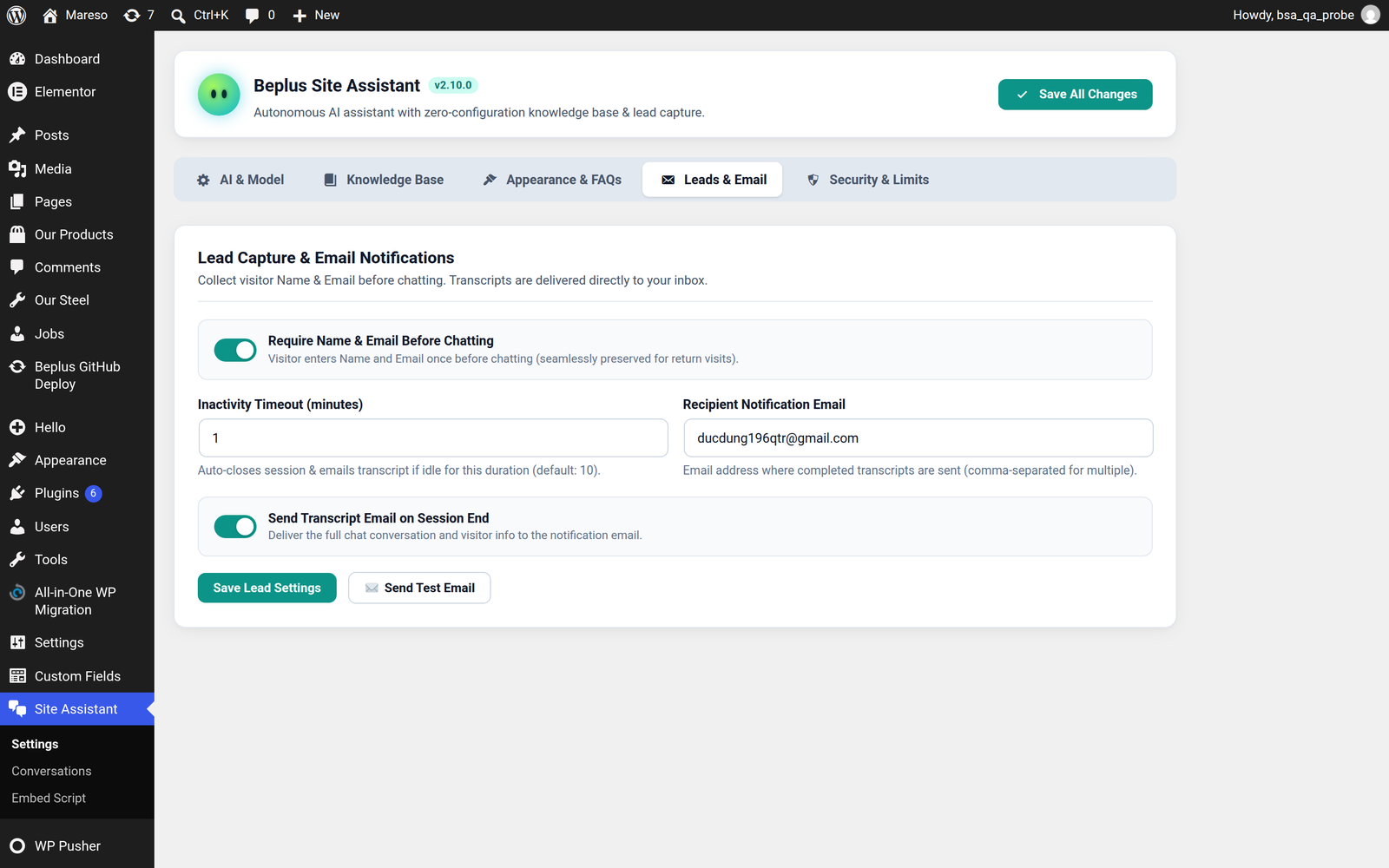 Settings, Leads & Email tab